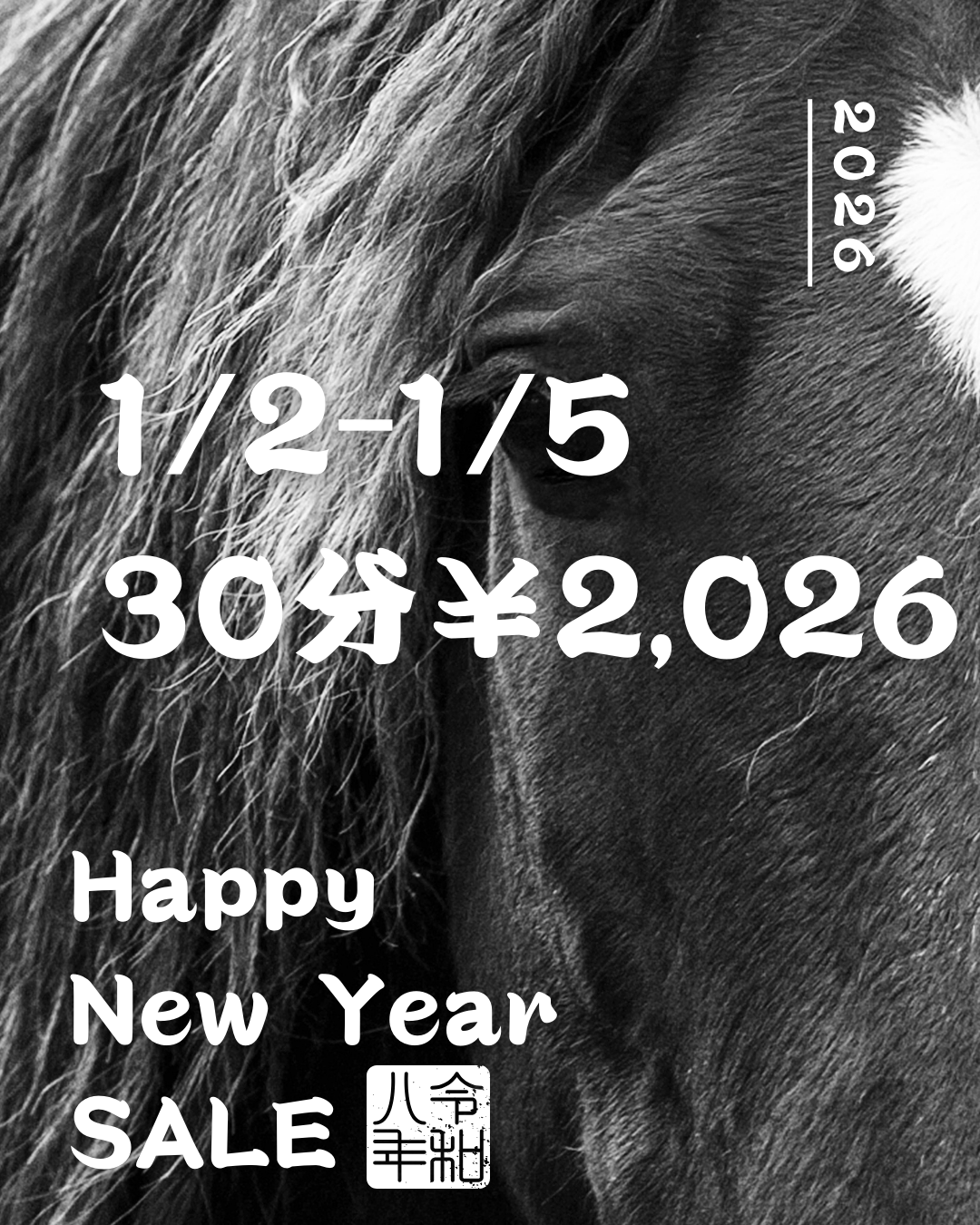 🎊㊗お正月SALE🎊㊗ 新年明けましておめでとうございます。